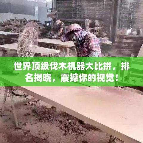 世界頂級伐木機器大比拼，排名揭曉，震撼你的視覺！
