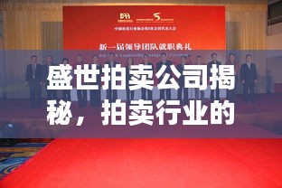 盛世拍賣公司揭秘，拍賣行業(yè)的繁榮景象探索
