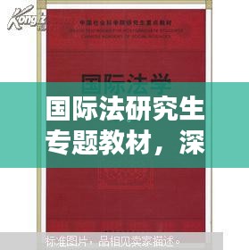 國(guó)際法研究生專題教材，深度探索與實(shí)踐研究