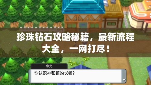 珍珠鉆石攻略秘籍，最新流程大全，一網(wǎng)打盡！