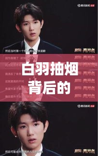 白羽抽煙背后的真相，深度解讀與百度視角觀察