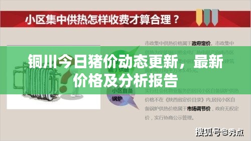 銅川今日豬價動態(tài)更新，最新價格及分析報告