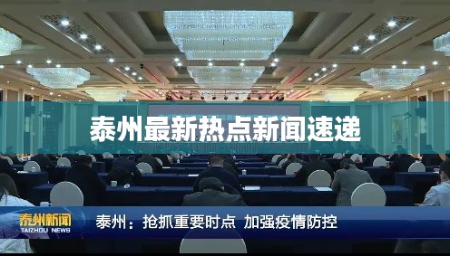 泰州最新熱點新聞速遞
