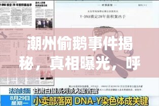 潮州偷鵝事件揭秘，真相曝光，呼吁社會(huì)關(guān)注，視頻全集最新更新