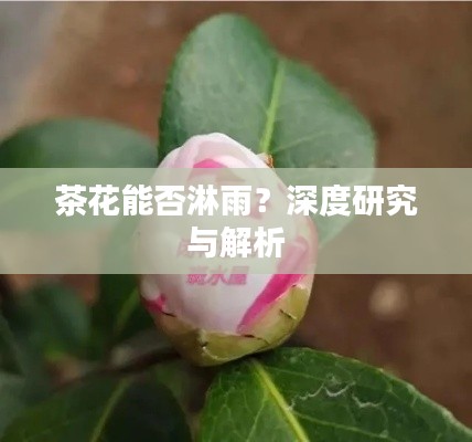 草長(zhǎng)鶯飛
