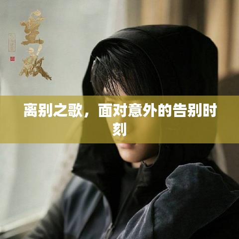 擇善而從
