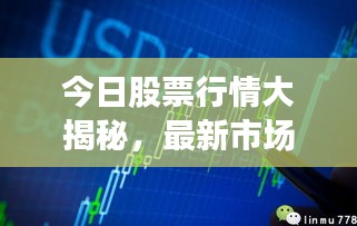 今日股票行情大揭秘，最新市場(chǎng)動(dòng)態(tài)一網(wǎng)打盡！