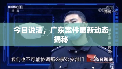 今日說法，廣東案件最新動態(tài)揭秘