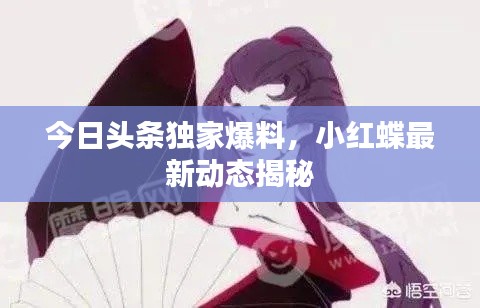 今日頭條獨家爆料，小紅蝶最新動態(tài)揭秘