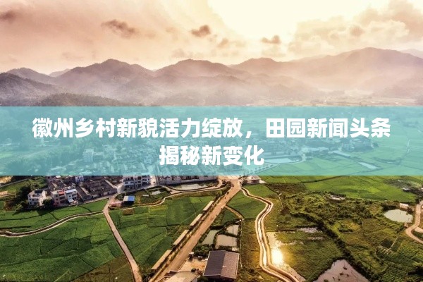 徽州鄉(xiāng)村新貌活力綻放，田園新聞?lì)^條揭秘新變化