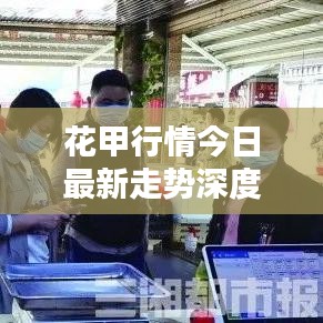花甲行情今日最新走勢(shì)深度解析