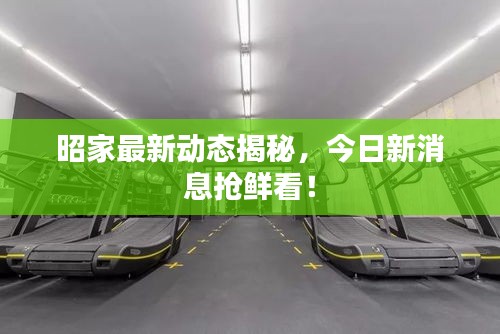 昭家最新動(dòng)態(tài)揭秘，今日新消息搶鮮看！