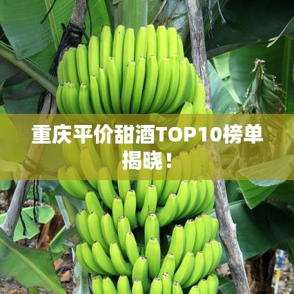 重慶平價(jià)甜酒TOP10榜單揭曉！