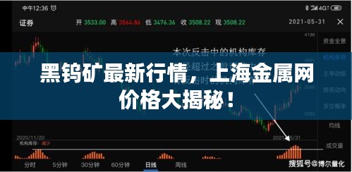 黑鎢礦最新行情，上海金屬網(wǎng)價格大揭秘！