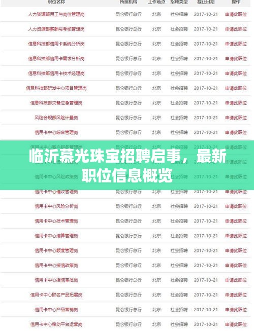 臨沂慕光珠寶招聘啟事，最新職位信息概覽