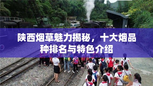 陜西煙草魅力揭秘，十大煙品種排名與特色介紹