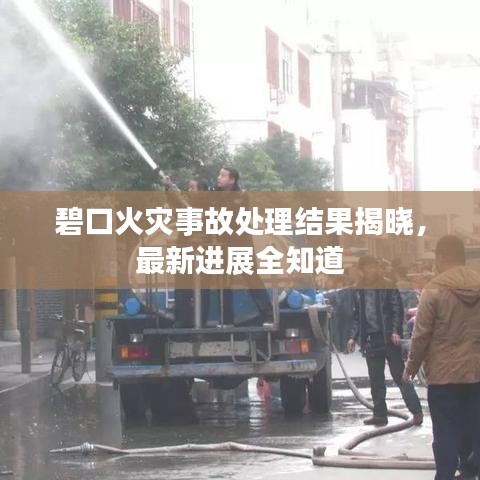 碧口火災(zāi)事故處理結(jié)果揭曉，最新進(jìn)展全知道