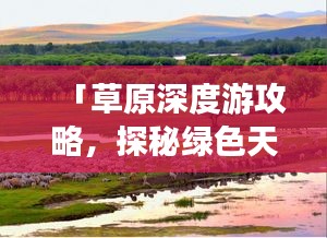 「草原深度游攻略，探秘綠色天地，盡享無邊風(fēng)光」