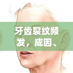 兩袖清風(fēng)