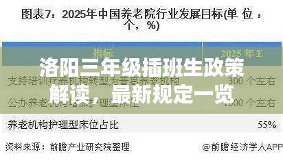洛陽三年級插班生政策解讀，最新規(guī)定一覽