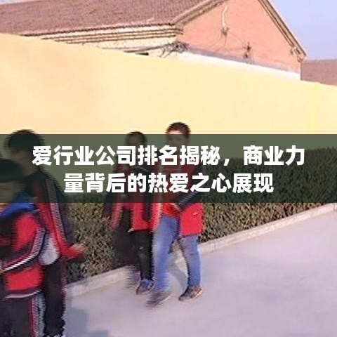 愛行業(yè)公司排名揭秘，商業(yè)力量背后的熱愛之心展現(xiàn)