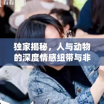 獨(dú)家揭秘，人與動(dòng)物的深度情感紐帶與非凡關(guān)系探索
