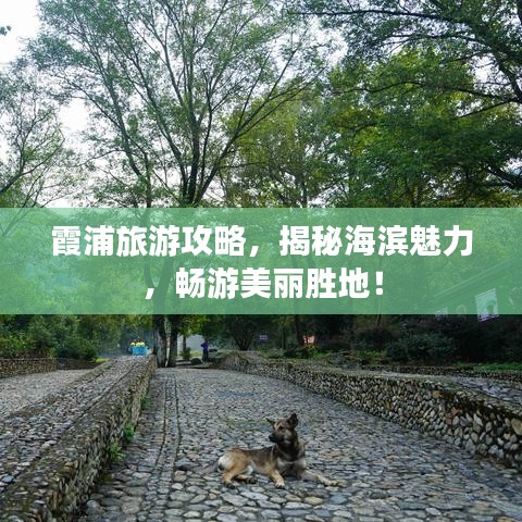 霞浦旅游攻略，揭秘海濱魅力，暢游美麗勝地！