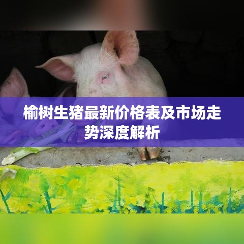 榆樹生豬最新價(jià)格表及市場(chǎng)走勢(shì)深度解析