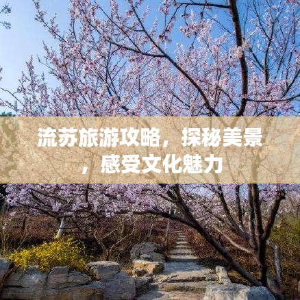 流蘇旅游攻略，探秘美景，感受文化魅力