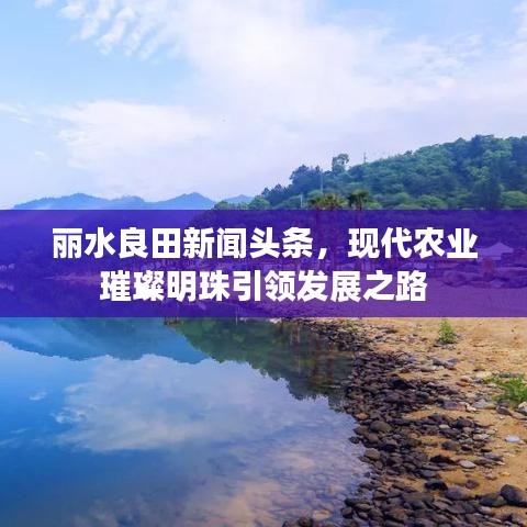 麗水良田新聞頭條，現(xiàn)代農(nóng)業(yè)璀璨明珠引領發(fā)展之路