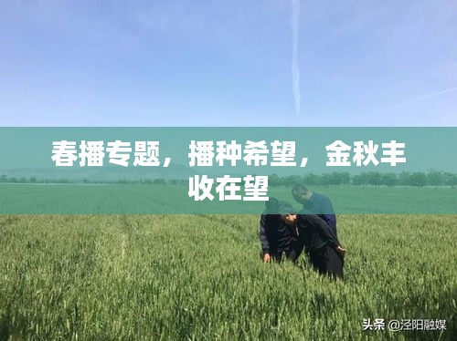 春播專題，播種希望，金秋豐收在望