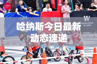 哈納斯今日最新動(dòng)態(tài)速遞