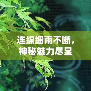 連綿細(xì)雨不斷，神秘魅力盡顯