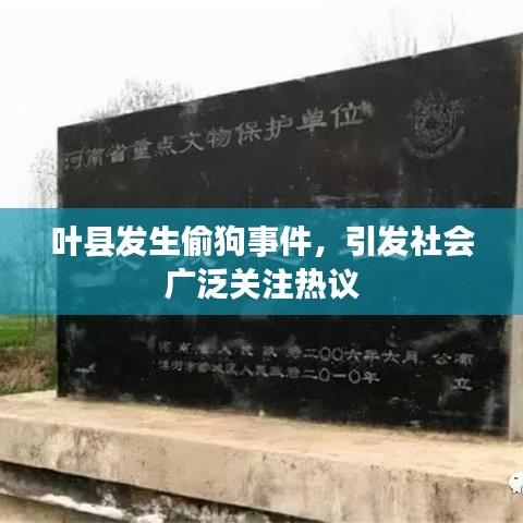 葉縣發(fā)生偷狗事件，引發(fā)社會廣泛關(guān)注熱議