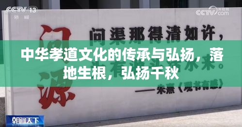中華孝道文化的傳承與弘揚(yáng)，落地生根，弘揚(yáng)千秋