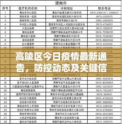 高陵區(qū)今日疫情最新通告，防控動(dòng)態(tài)及關(guān)鍵信息匯總