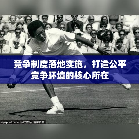 競(jìng)爭(zhēng)制度落地實(shí)施，打造公平競(jìng)爭(zhēng)環(huán)境的核心所在
