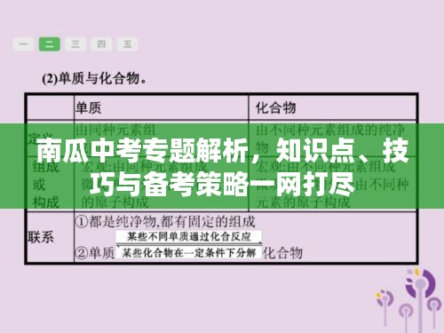 南瓜中考專(zhuān)題解析，知識(shí)點(diǎn)、技巧與備考策略一網(wǎng)打盡