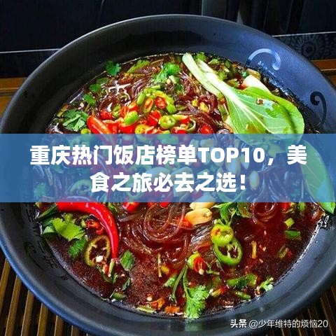 重慶熱門飯店榜單TOP10，美食之旅必去之選！