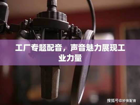 工廠專題配音，聲音魅力展現(xiàn)工業(yè)力量