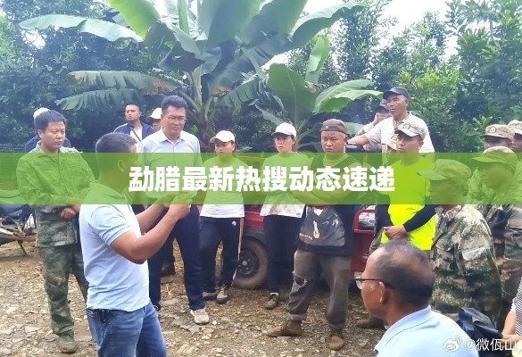 勐臘最新熱搜動態(tài)速遞