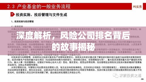 深度解析，風(fēng)險公司排名背后的故事揭秘