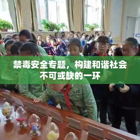 禁毒安全專(zhuān)題，構(gòu)建和諧社會(huì)不可或缺的一環(huán)