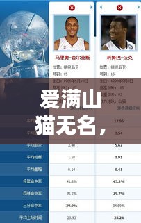 愛滿山貓無名，最新動(dòng)態(tài)一網(wǎng)打盡
