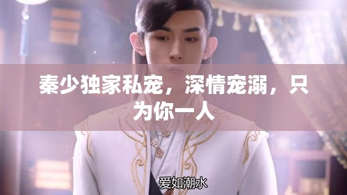 秦少獨(dú)家私寵，深情寵溺，只為你一人
