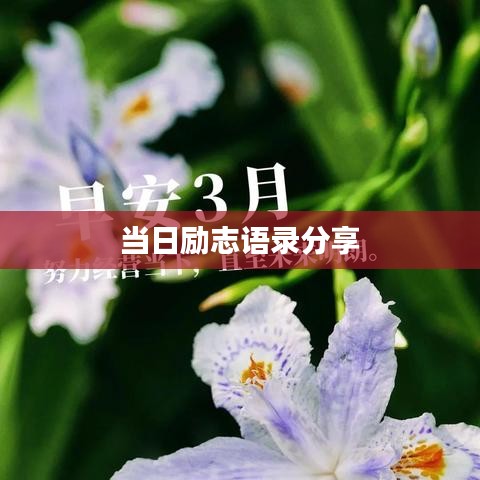 當日勵志語錄分享