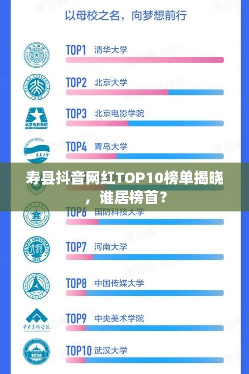 壽縣抖音網(wǎng)紅TOP10榜單揭曉，誰(shuí)居榜首？