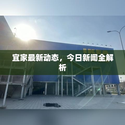 宜家最新動態(tài)，今日新聞全解析