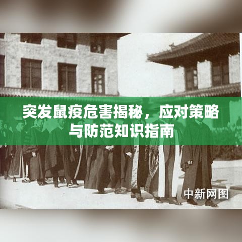 突發(fā)鼠疫危害揭秘，應(yīng)對策略與防范知識指南