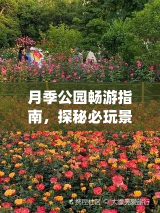 月季公園暢游指南，探秘必玩景點(diǎn)，輕松開啟浪漫之旅！